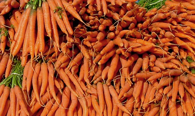 Bruge market