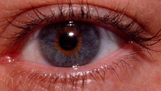 Human Eye