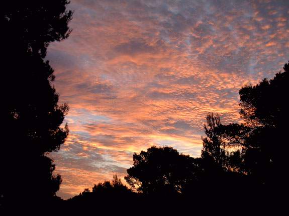 Ibiza Sunset