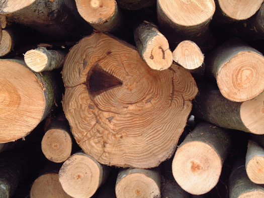 logs.jpg