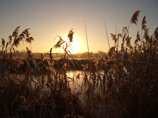 River Stour